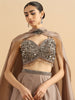 Sparkling Fawn Organza Skirt and Top Set