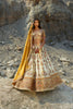 Pearl White Hand Embroidered Lehenga with Floral Motifs